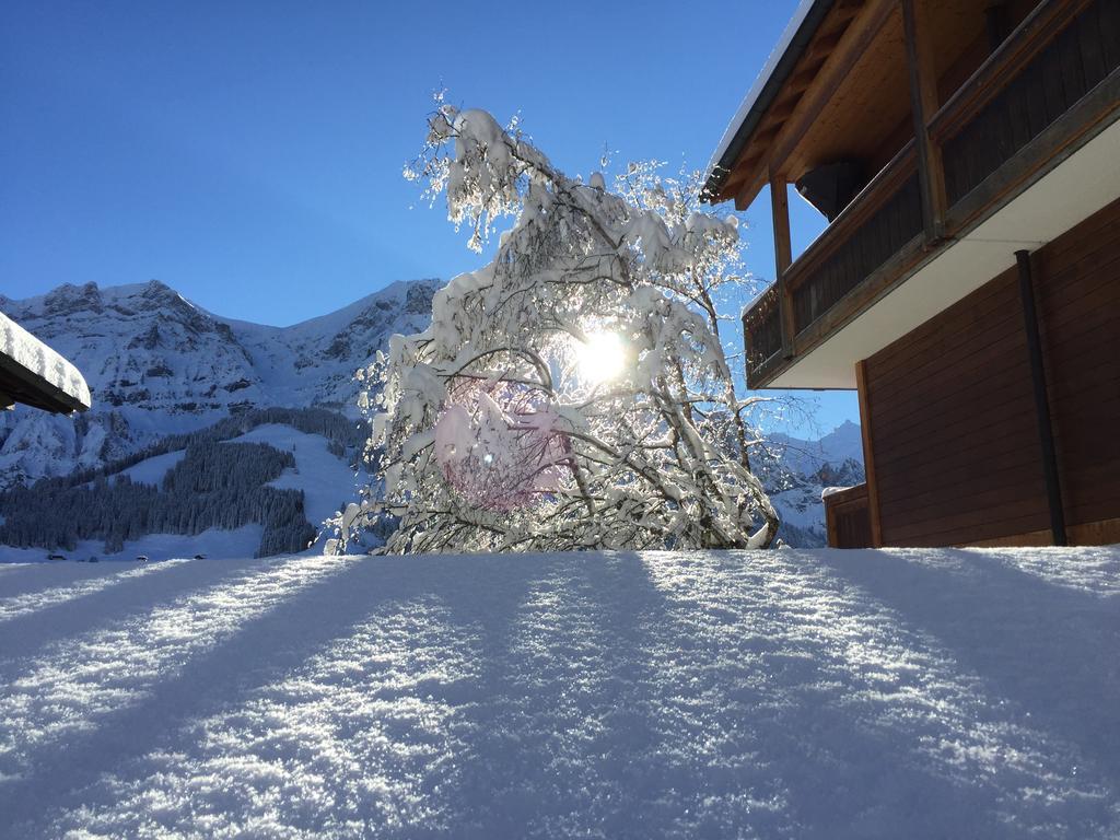 Hotel Steinmattli Adelboden Exterior photo