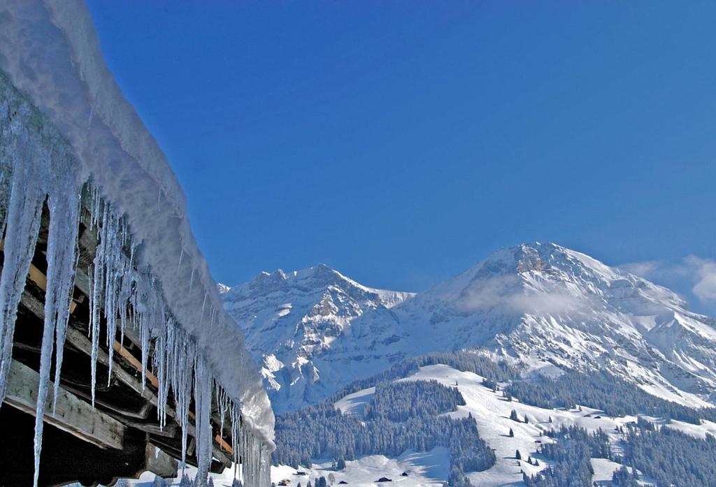 Hotel Steinmattli Adelboden Exterior photo